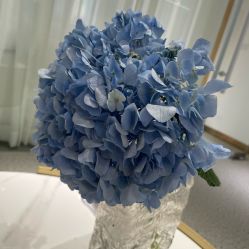 -康美贞·痘肌养护管理中心