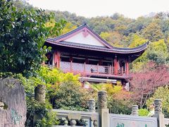-十八棵（老龙井）御茶园(老龙井店)