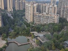 -成都保利公园皇冠假日酒店(熊猫基地店)