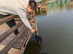-鄱阳湖国家湿地公园