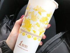 -1点点(东鼎店)