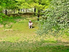 -大望京公园