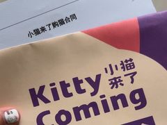 -小猫来了·猫舍(红山六九七九店)