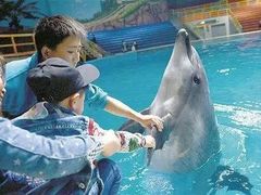 -苏州海洋馆
