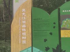 -黑龙江省森林植物园