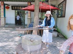 -溱湖国家湿地公园