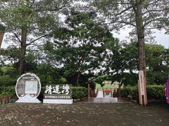 -大湾区中央湿地公园
