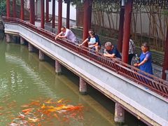 -龙潭水乡