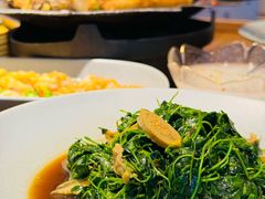 金花菜蚌肉-蜜桃餐厅·伴山(绿宝广场店)