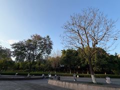 -沐仙湖湿地公园