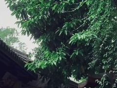 -五凤溪古镇