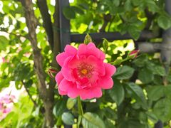 -广富林郊野公园