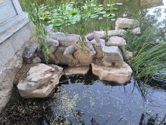 -八大处公园
