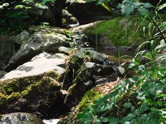 -藏龙百瀑风景区