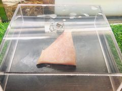 -北京北辰洲际酒店啡扬咖啡厅·自助餐厅