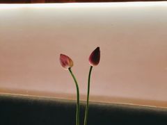 -菩提素素食餐厅(晶郦馆店)