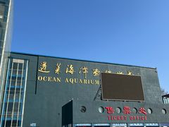 -蓬莱欧乐堡海洋极地世界