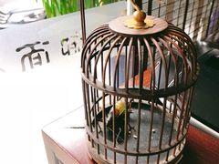 -御面斋精品面馆