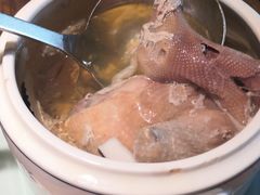 -大鸽饭(岗顶店)