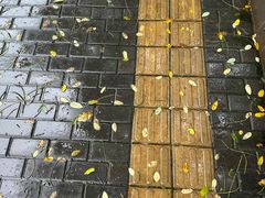 -星巴克(北京佳程广场店)