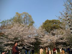 -白塔公园-儿童游乐园
