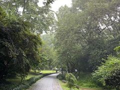 -杭州植物园