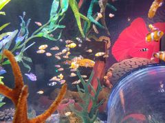 -沈阳海洋探索中心