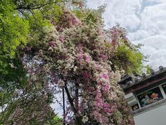 -深圳国际园林花卉博览园