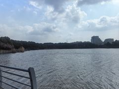 -美兰湖景区