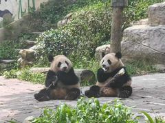 -雅安上里古镇
