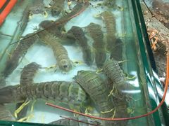 -班赞海鲜市场