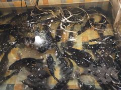 -缘福乡村铁锅炖民宿(八达岭店)