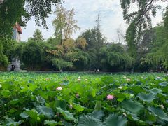 -四川大学(华西校区)