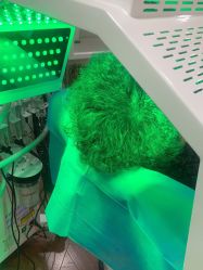 -熙朵美学植发连锁