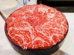 安格斯牛肉-鲜入围煮花胶鸡海鲜火锅
