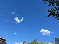 -莲花池公园