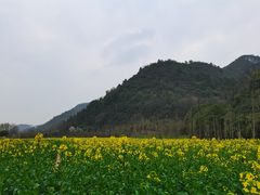 -贵阳市花溪国家城市湿地公园