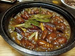 -老江南春·中国龙菜(衡山路店)
