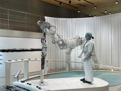 -Gentle Monster(Galleria百货狎鸥亭店)
