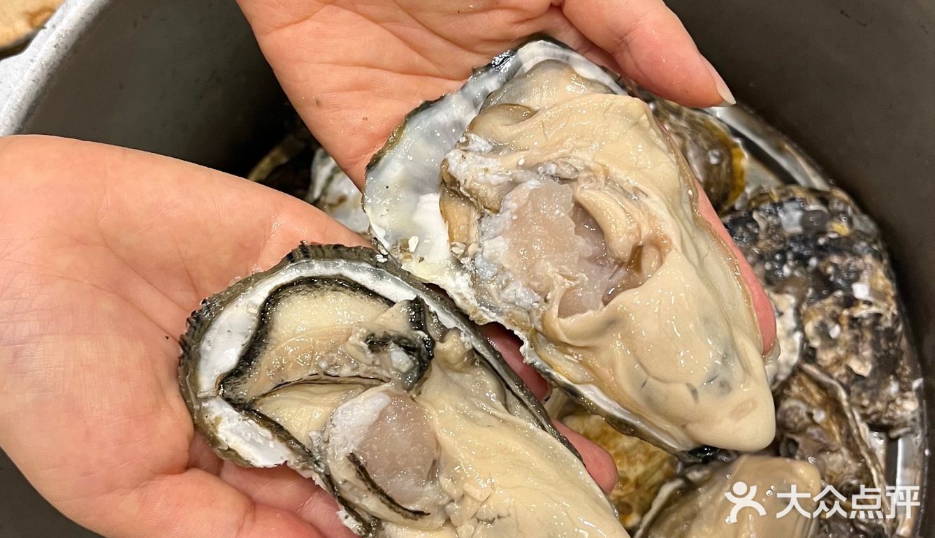 跟我来这家餐厅🍴一起实现生蚝🦪自 由吧！