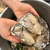 跟我来这家餐厅🍴一起实现生蚝🦪自 由吧！