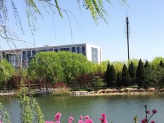 -大兴滨河森林公园