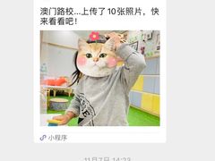 -古力古利托育早教中心(澳门路校区)