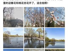 -莲花池公园