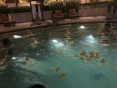 -苏州湾王焰温泉度假酒店