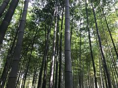 -陶祖圣境风景区