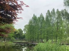 -苏州阳澄半岛英迪格酒店