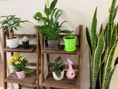 -ihope英语俱乐部(东直门店)