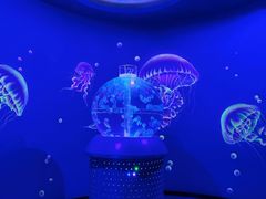 -海合安武汉极地海洋公园