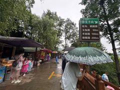 -栾川竹海野生动物园